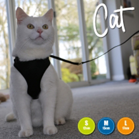 Soft Harness & Lead - Image 2