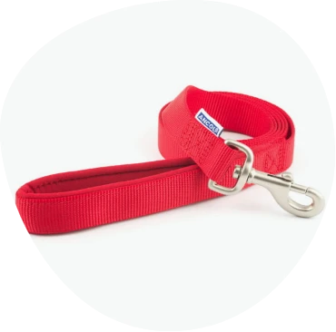 Collars/ Leads/ Harness