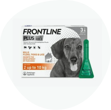 Fleas and Worming