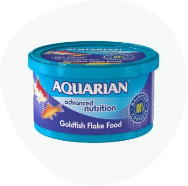 Fish Food