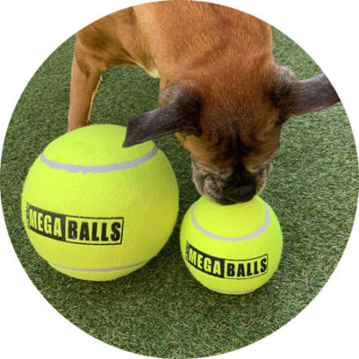 Mega Tennis Ball