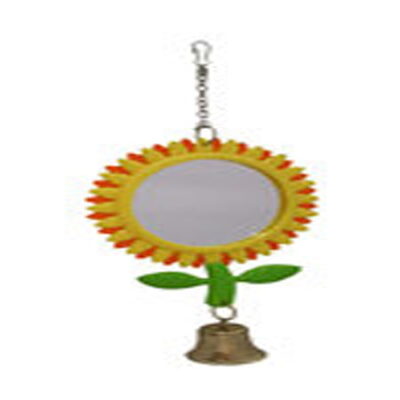 Beaks Sunflower Mirror
