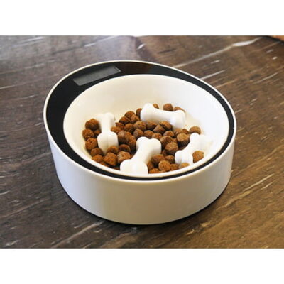 Smart Slow Feeder