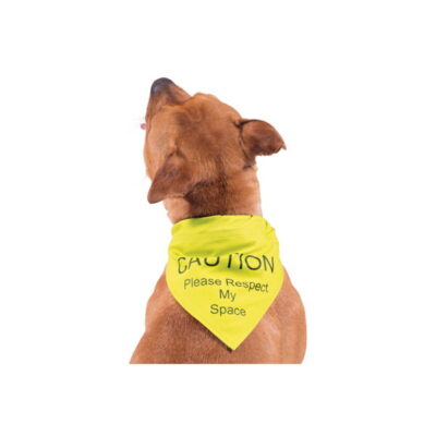 Warning Bandana Yellow Respect My SpaceSml/Med20cm