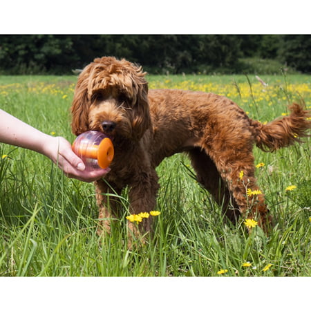 Giggling Sound Interactive Treat Ball - Image 2
