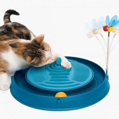 Catit Circuit Ball Toy With Catnip Massager