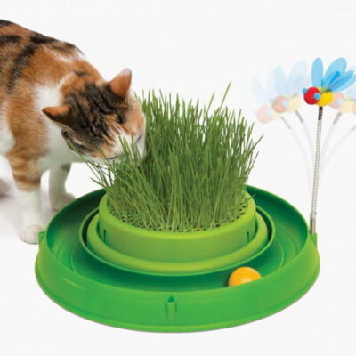 Circuit Ball Toy With Grass Planter