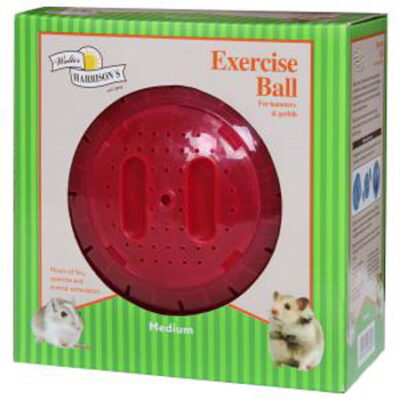Small Animal Exercise Ball