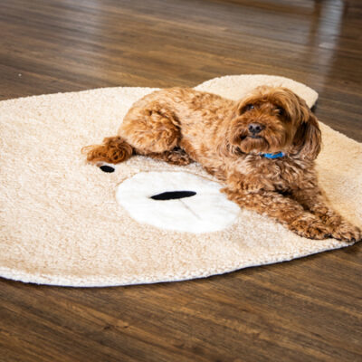 Cupid & Comet Super Soft Teddy Bear Blanket
