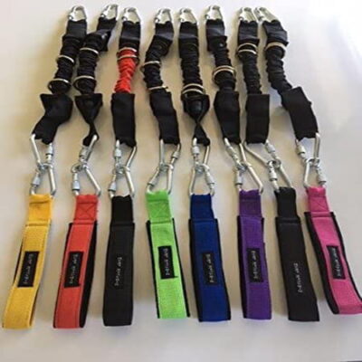 Streeetchy Dog Lead/Tie Out