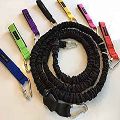 Streeetchy Dog lead/tie out