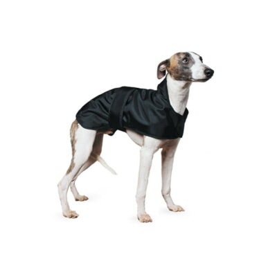 Muddy Paws Whippet Coat Black