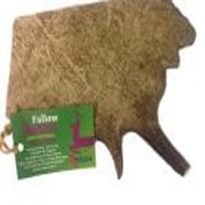 Antos Fallow Deer Antlers