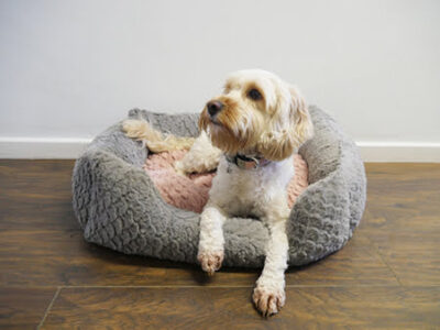 Grey & Pink Square Bed