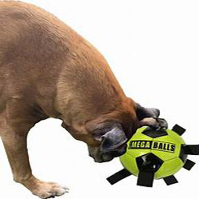 Pick Up Football