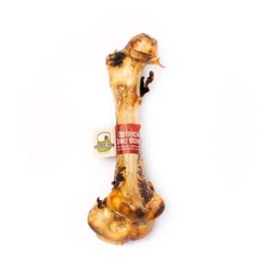 Antos Ostrich Dino Bone