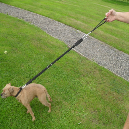 Streeetchy Dog lead/tie out - Image 2