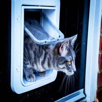 Microchip Cat Flap