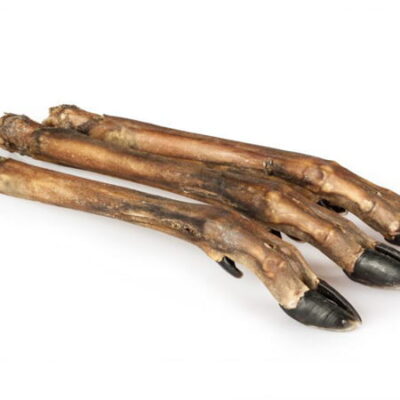 Large Natural Venison Legs
