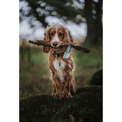 Anco Naturals Hairy Giant Lamb Sticks