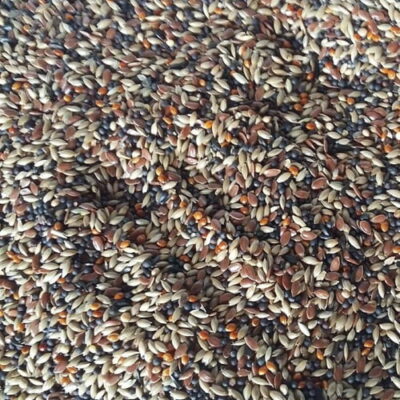 British Finch Seed 500g