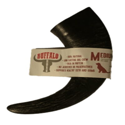 Buffalo Horn