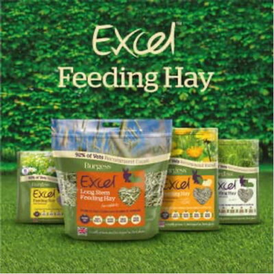 Burgess Excel Feeding Hay