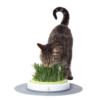 Catit Senses Grass Garden