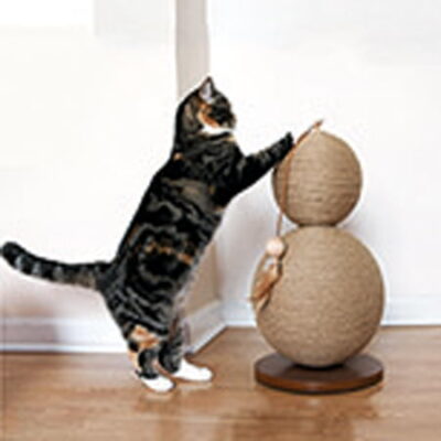 Coriander Cat Scratcher