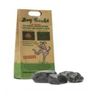 Dog Rocks