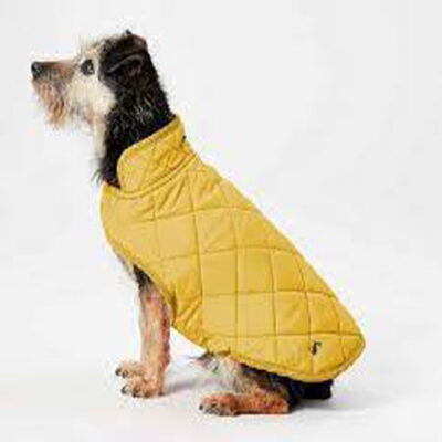 Joules Antique Gold Quilted Coat