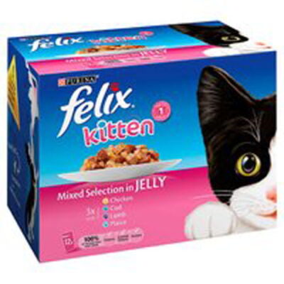 Felix Pouch Kitten