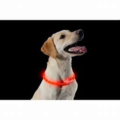 Rechargeable Flashing Band