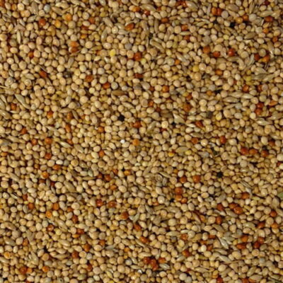 Foreign Finch Seed