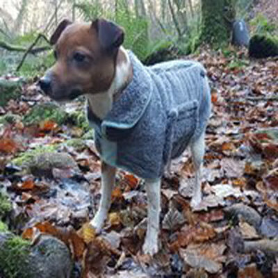 Henry Wag Drying Coat