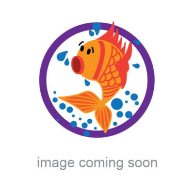 Cold Water Fish Flakes 100g