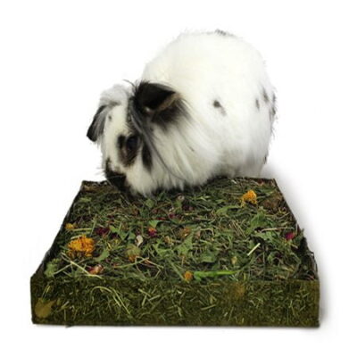 Nibble 'n' Dig Meadow