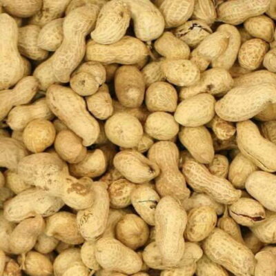 Nuts in Shell - (Monkey Nuts)