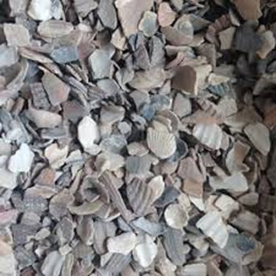 Oyster Shell Grit