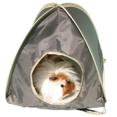 Pop Up Tent