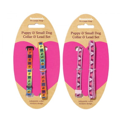 Puppy Collar and Lead Set