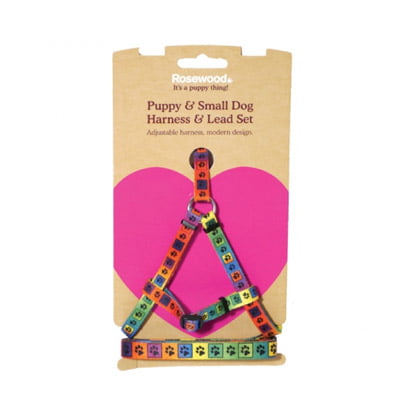 Puppy Harness and Lead Set