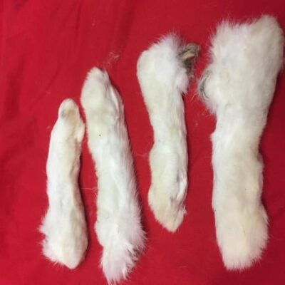 Natural Rabbit Feet with Fur (3)