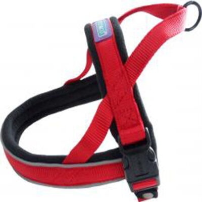 Nylon Norwegian Reflective Padded Harness