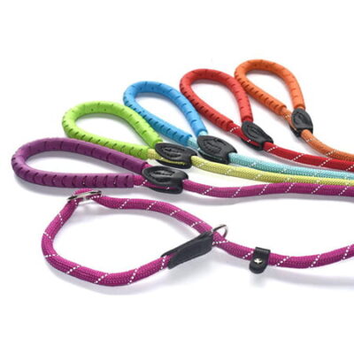 Slip Lead with Figure of 8