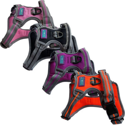 Sports Harness - Reflective