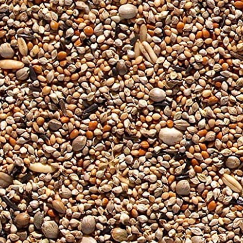 Tonic Seed 500g