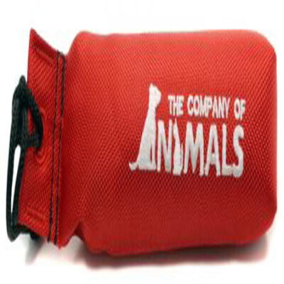 Canvas Training Dummy