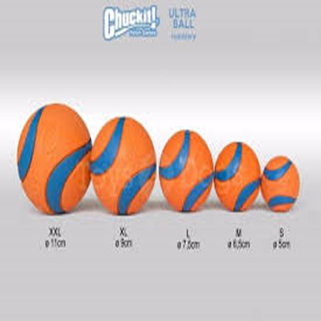 Chuckit! Ultra Squeaker Ball - Image 3