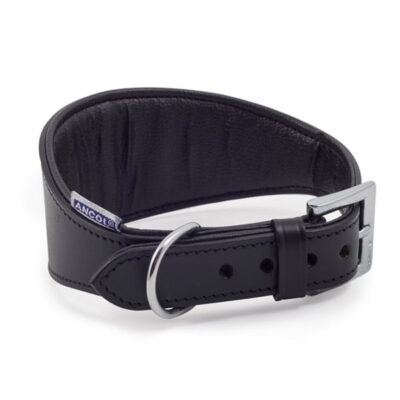 Hound Padded Collar - Black